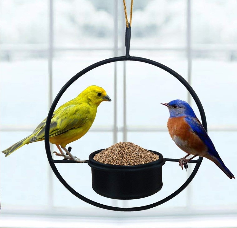 Bird Feeder