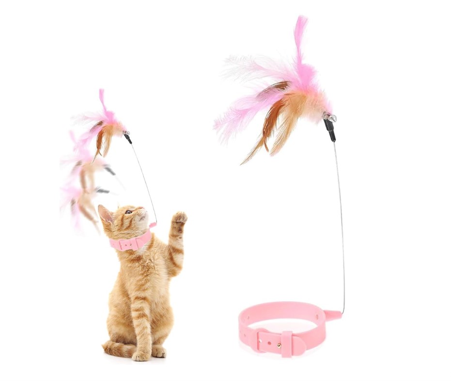 Cat Collar Toy
