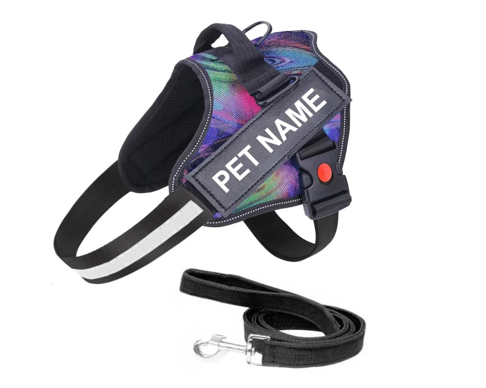 Body Harness
